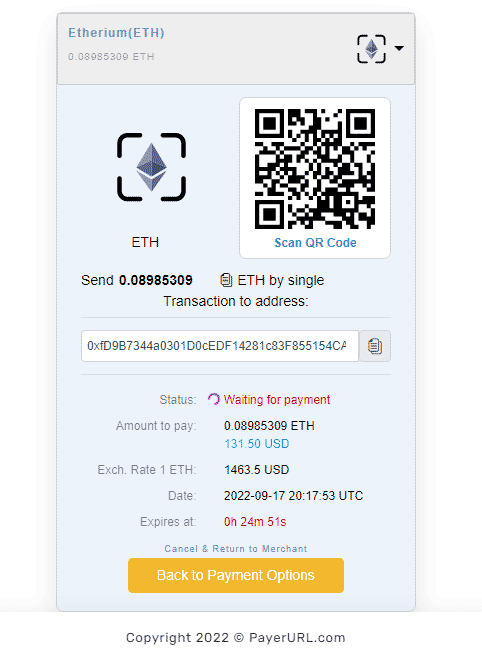 eth payment page