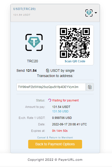 payerurl usdt payment page