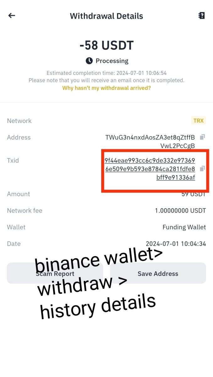  transaction hash ( binance )wallet